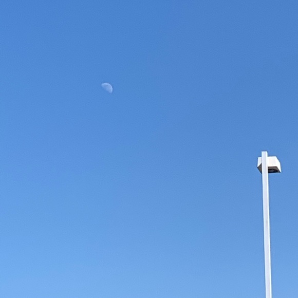 Meet your Posher, Grace - Picture 1 of 1